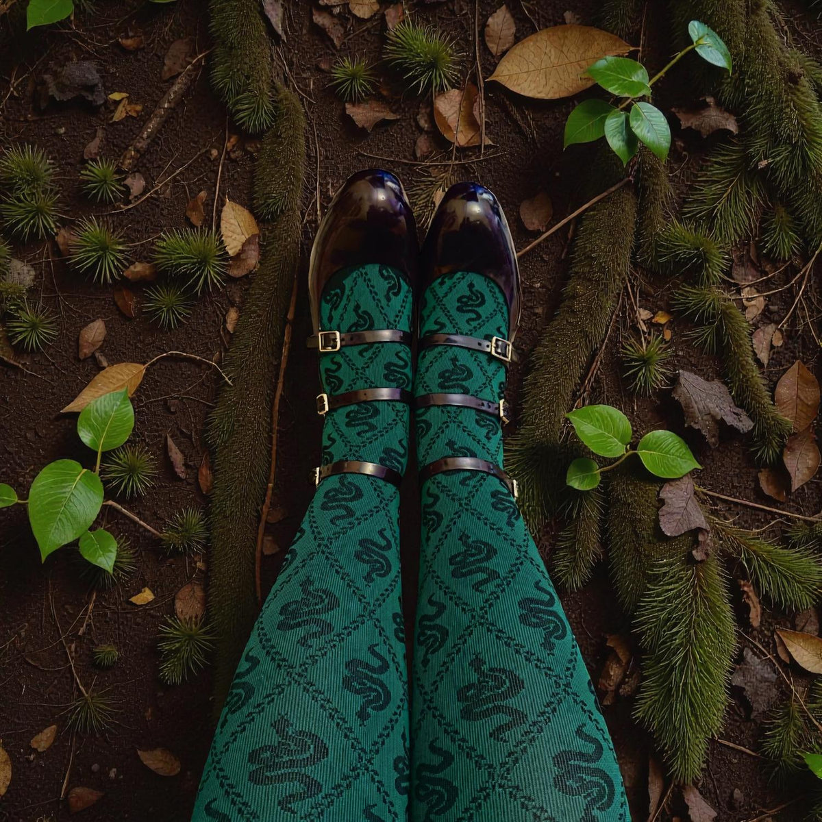 80 Denier Opaque Tights - Corra Snakes - Foliage Green