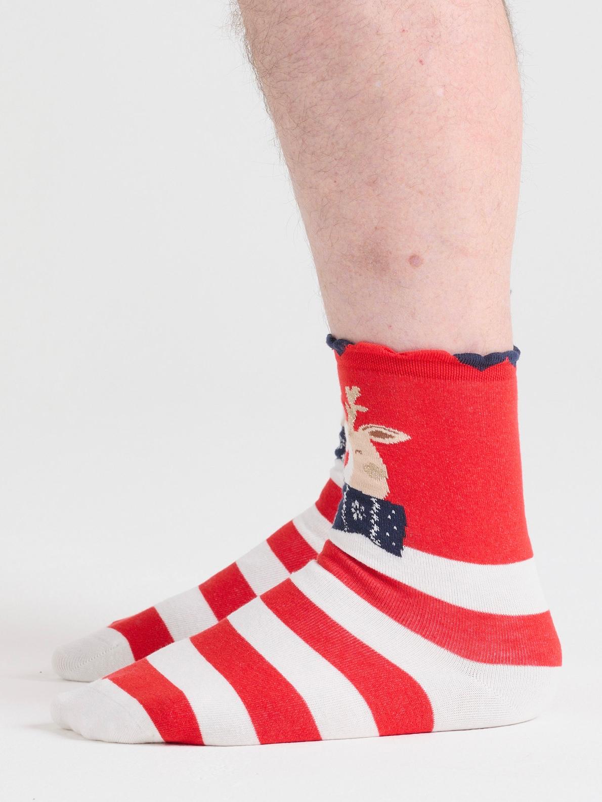 Animal Socks Variety Pack - 5 Pairs