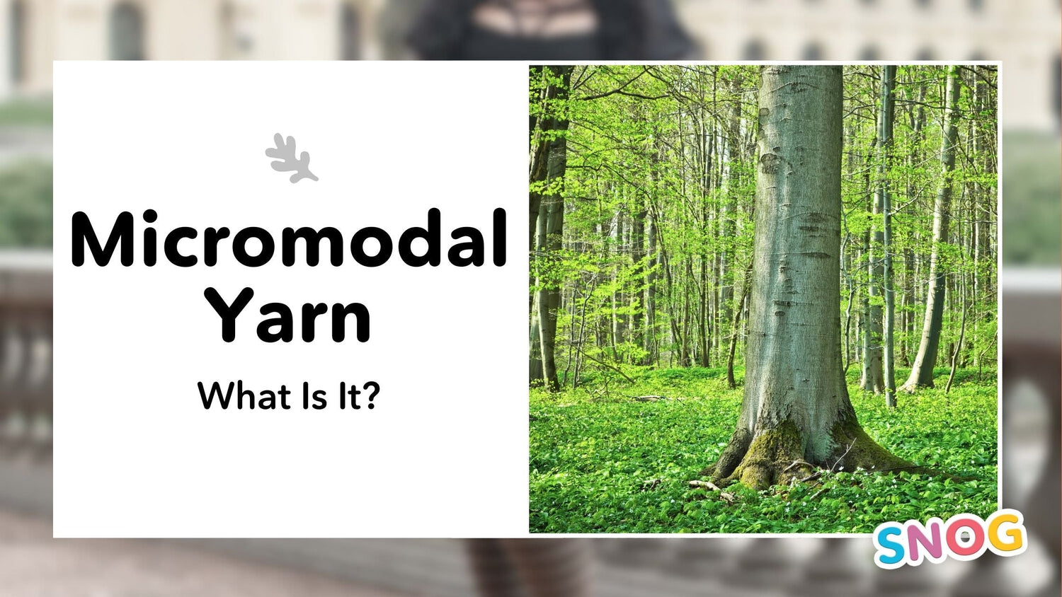 Everything You Need to Know About Micromodal Yarn