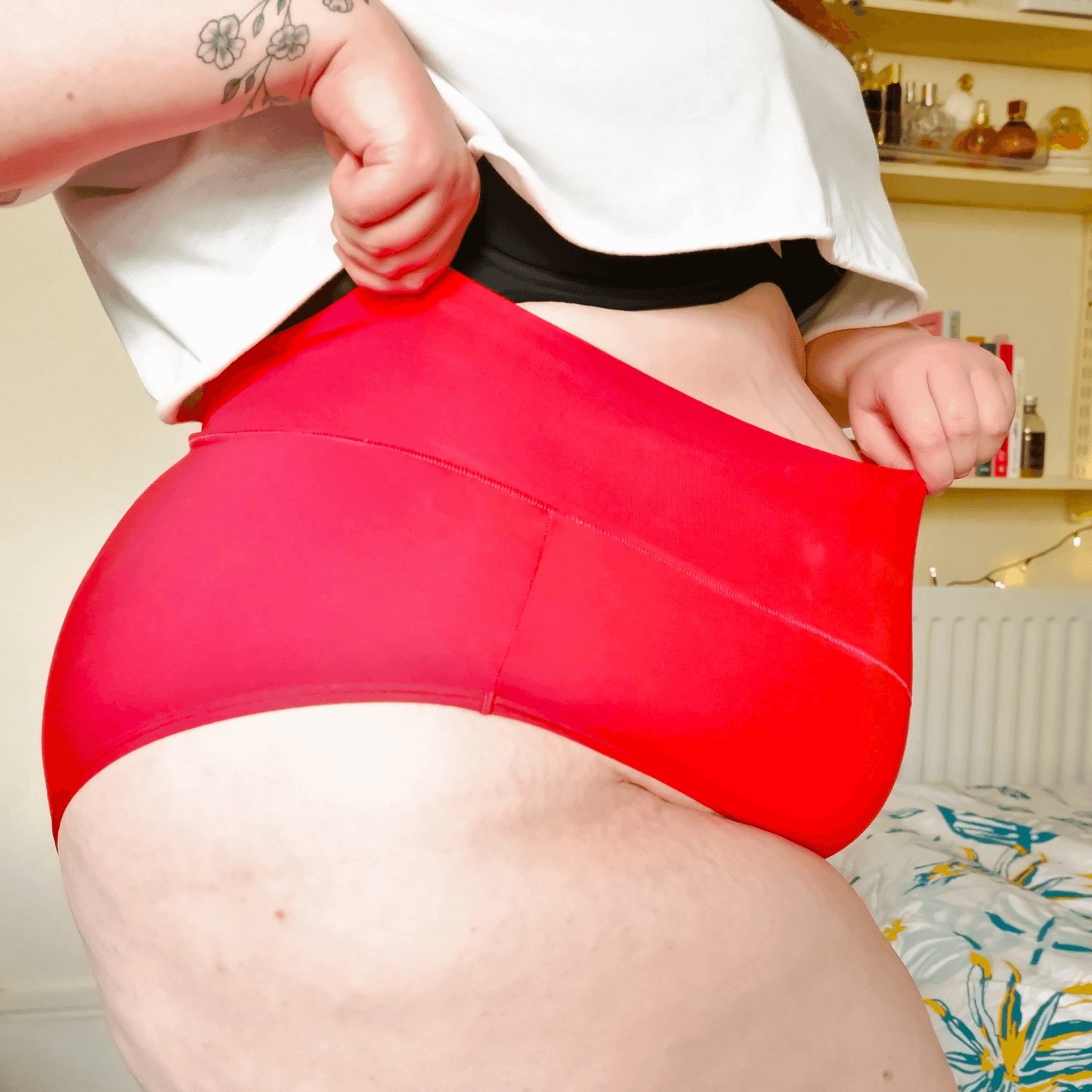 Full Brief Panties - Special Edition Colours